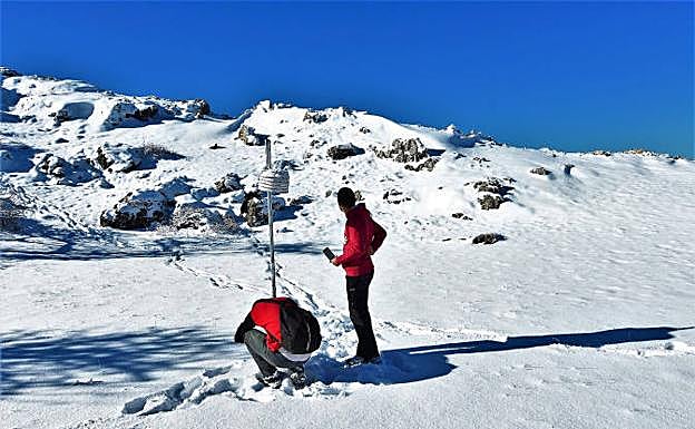 Instalación de una garita protectora para un termómetro por dos investigadores del proyecto FrostSE.