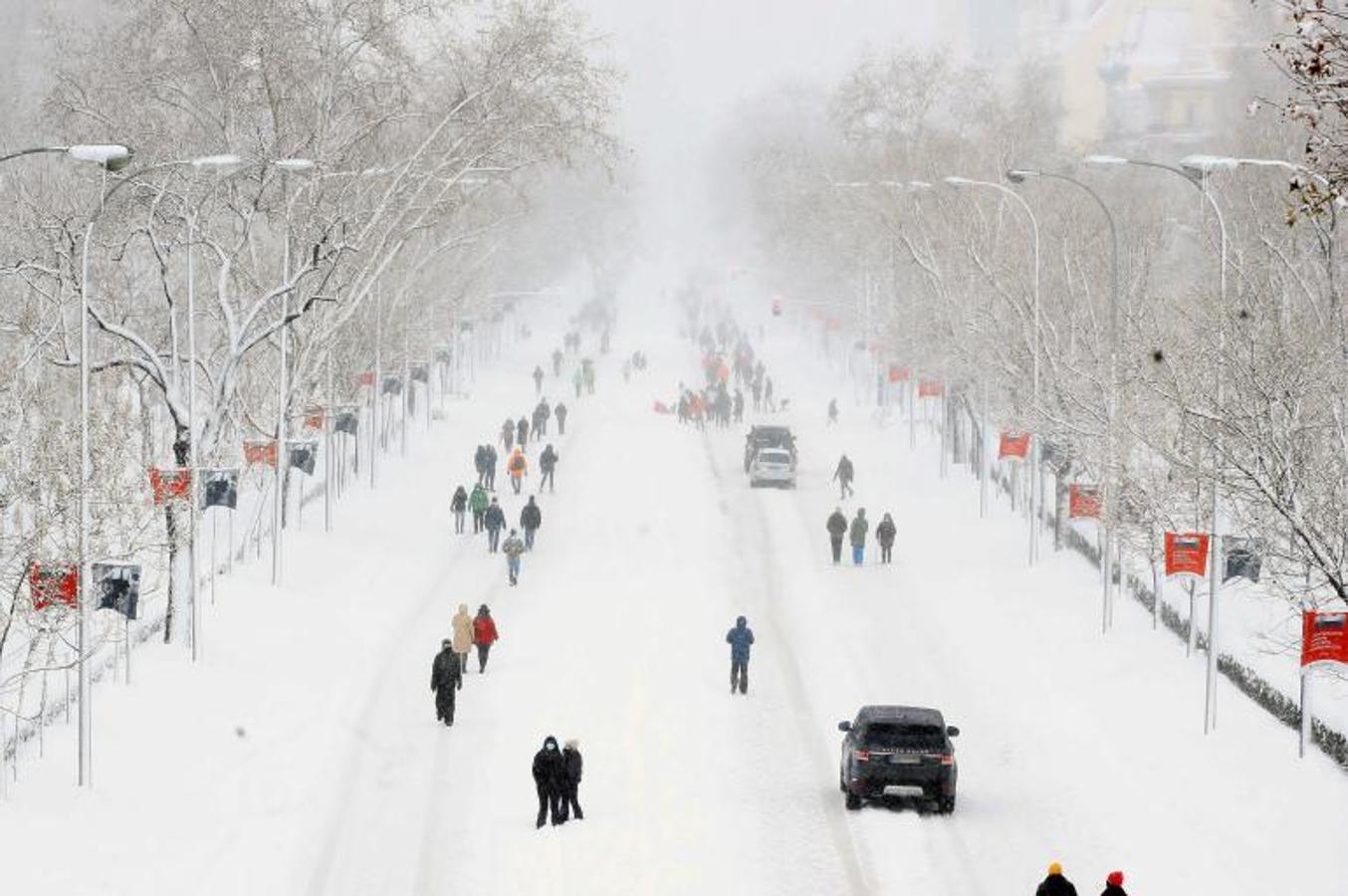 Imagen del Paseo de la Castellana