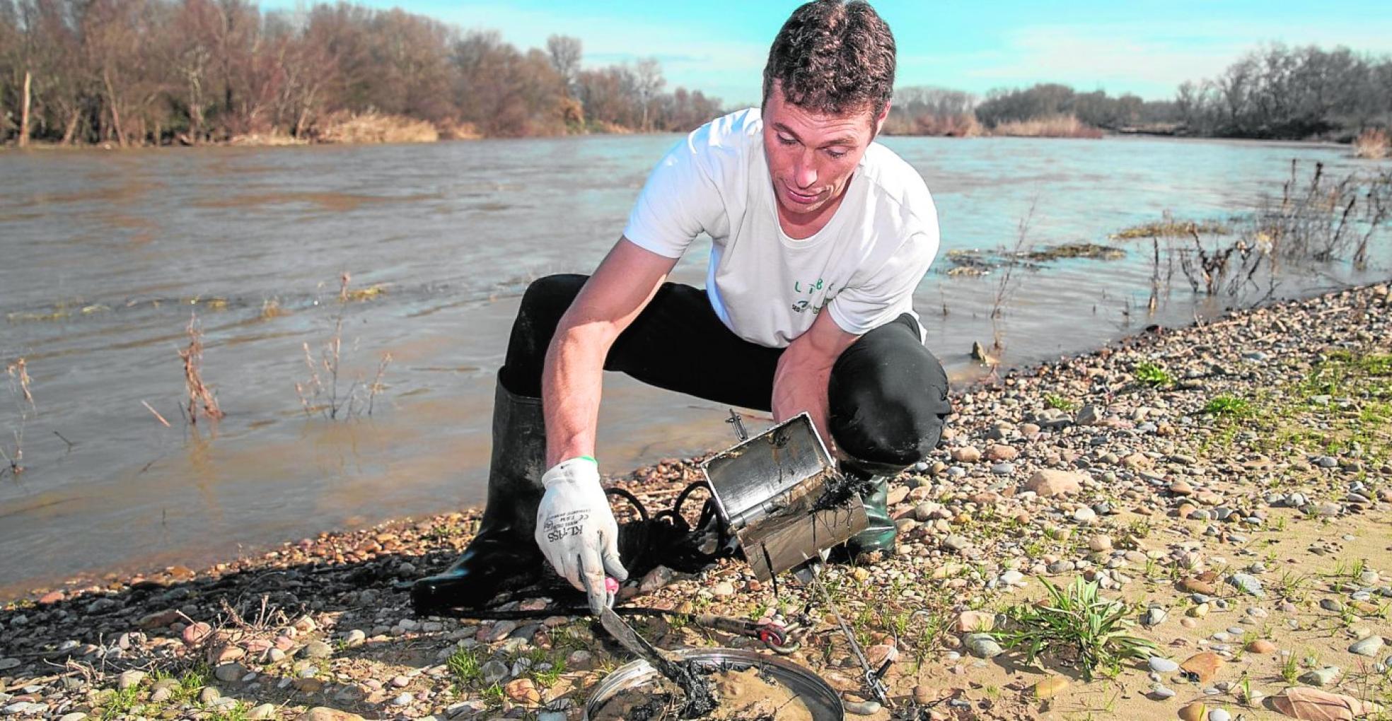 Actividad en el campo dentro de la campaña de ciencia ciudadana '1m2 por el campo, los bosques y elmonte'. 