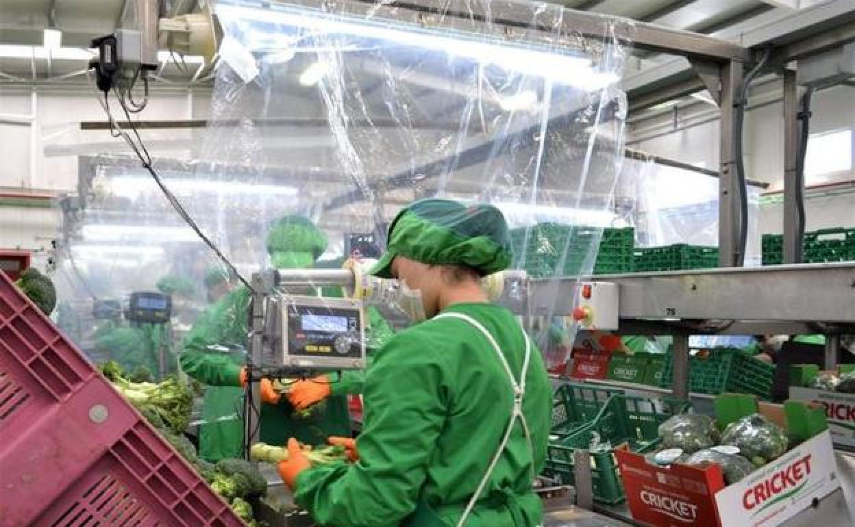 Imagen de archivo de una empresa agroalimentaria de Lorca. 