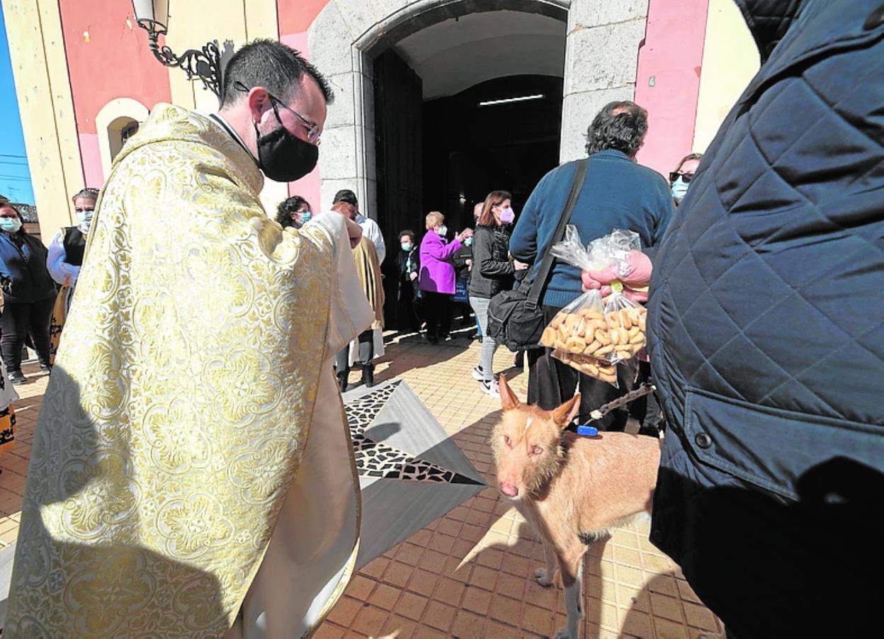 Bendición ayer de un perro, cuyo dueño lleva rollos de San Antón. 