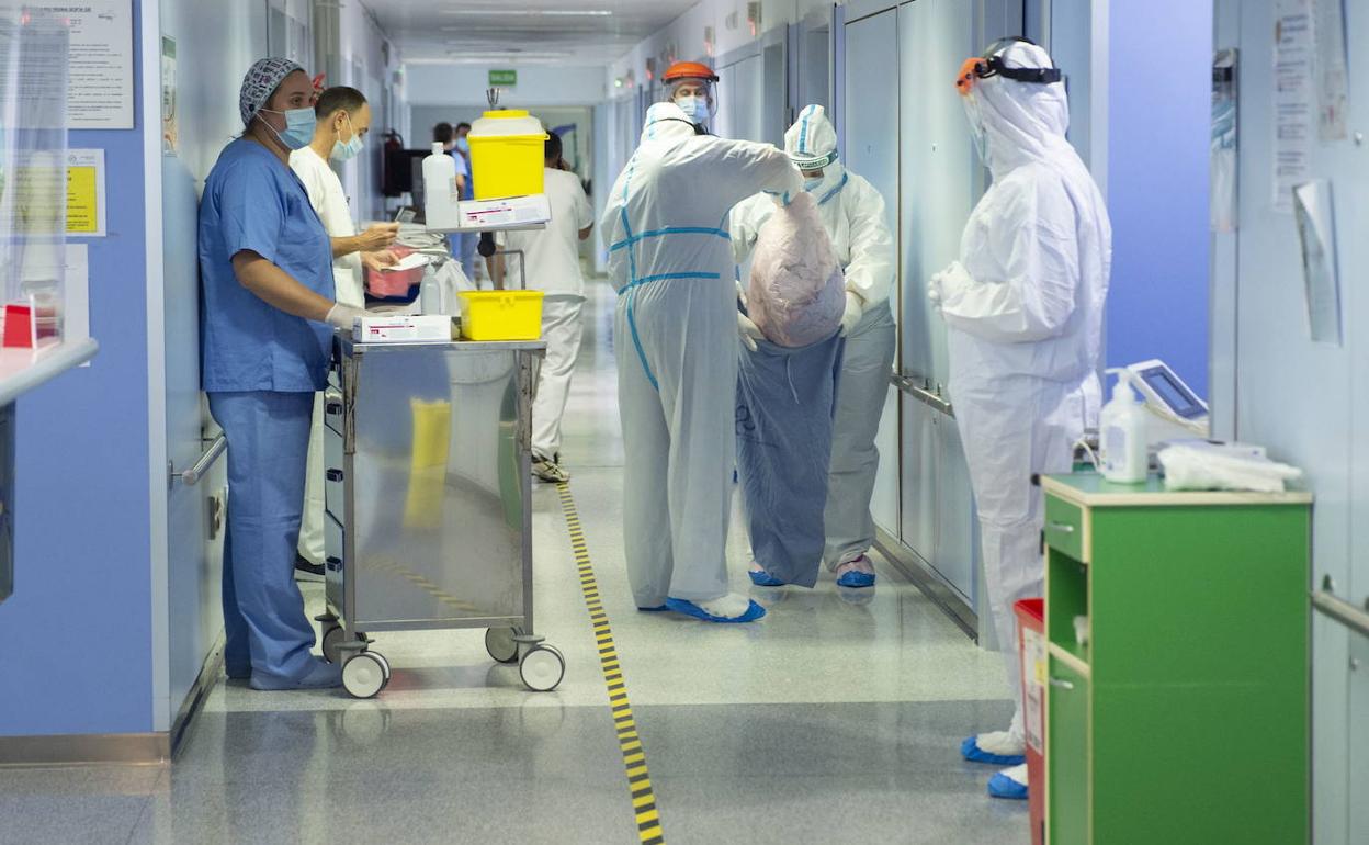 Sanitarios en una planta Covid del hospital Reina Sofía, en una fotografía de archivo.