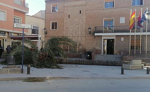 Imagen principal - Arriba, palmera derribada frente al Ayuntamiento de Librilla. Abajo, destrozos provocados por el viento en Alhama.