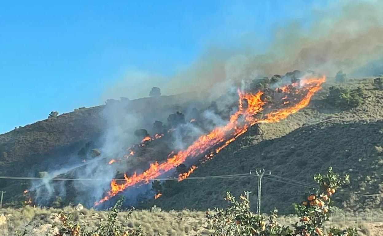 Incendio en Carrascoy. 