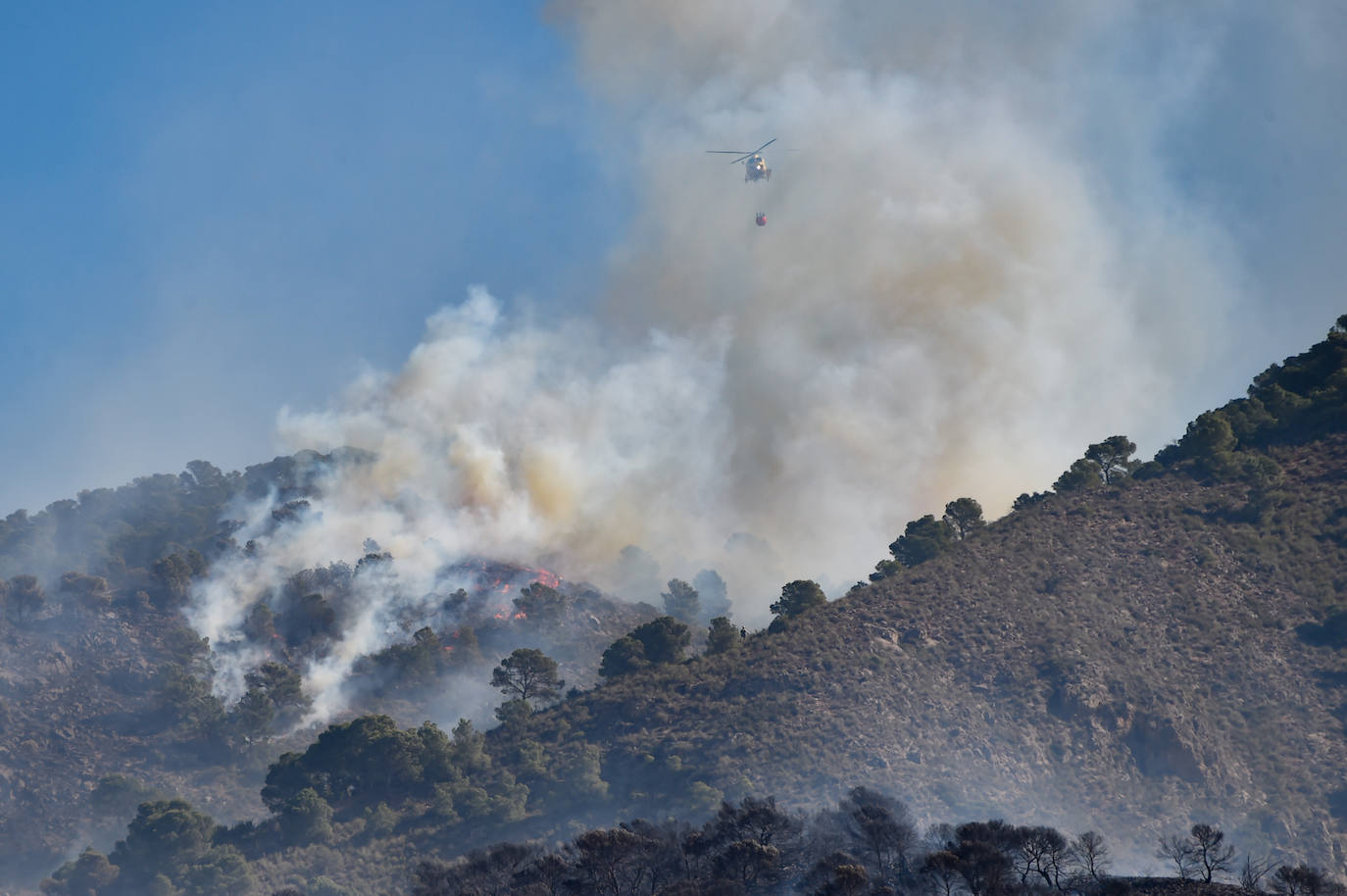 Fotos: Más de un centenar de efectivos trabajan contra el incendio en la sierra de Carrascoy
