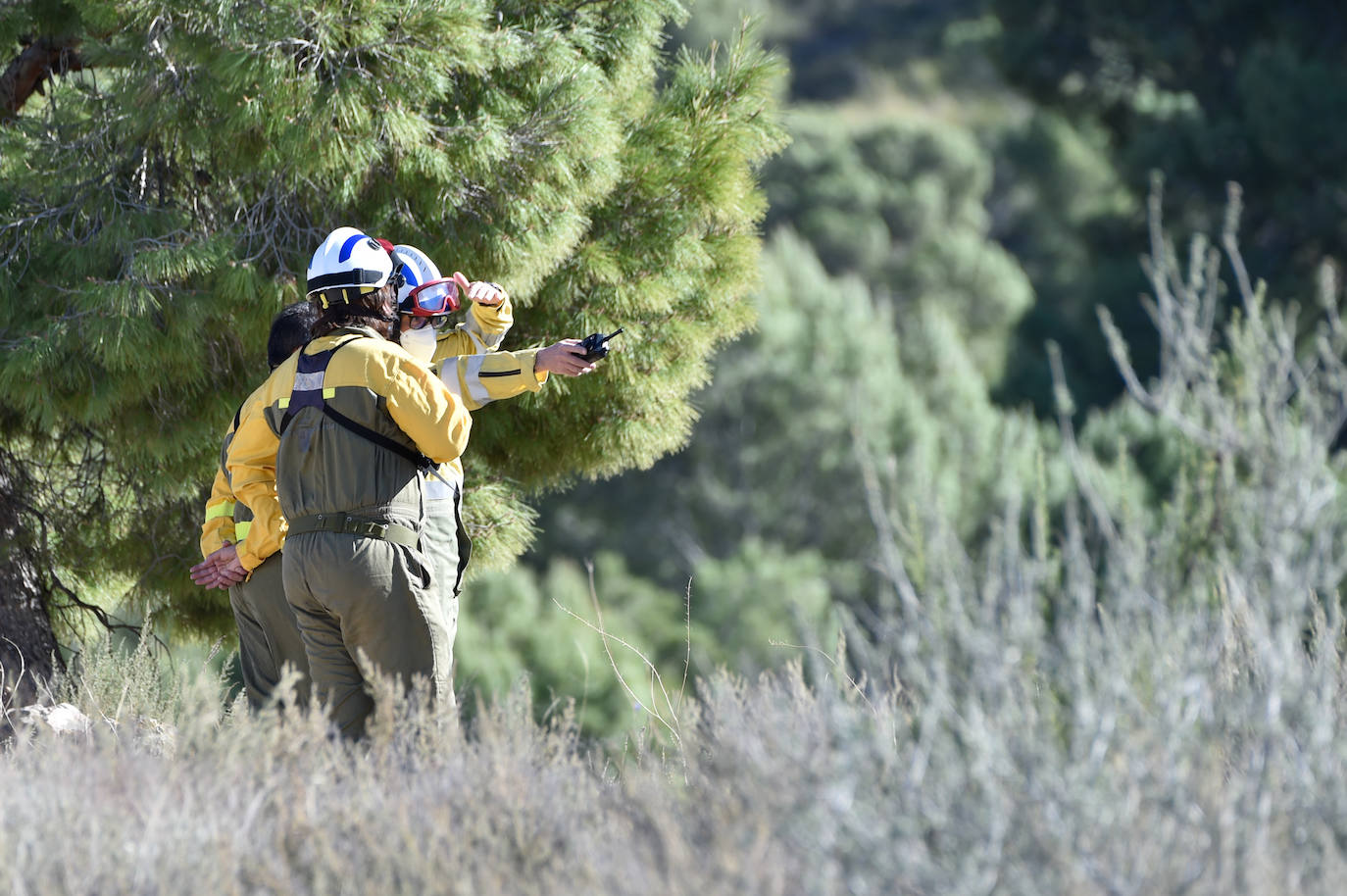 Fotos: Más de un centenar de efectivos trabajan contra el incendio en la sierra de Carrascoy