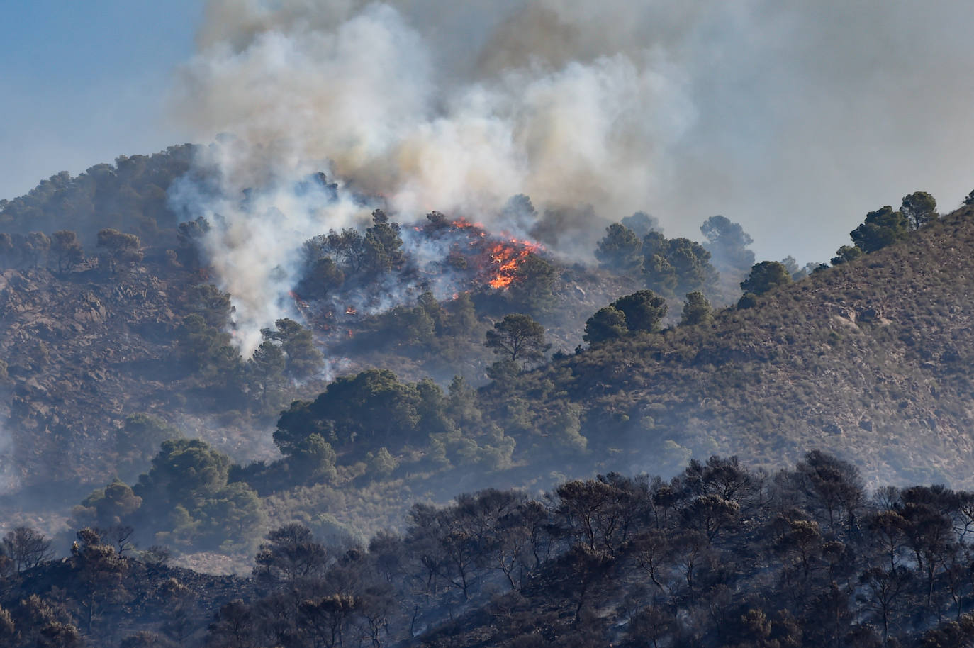 Fotos: Más de un centenar de efectivos trabajan contra el incendio en la sierra de Carrascoy