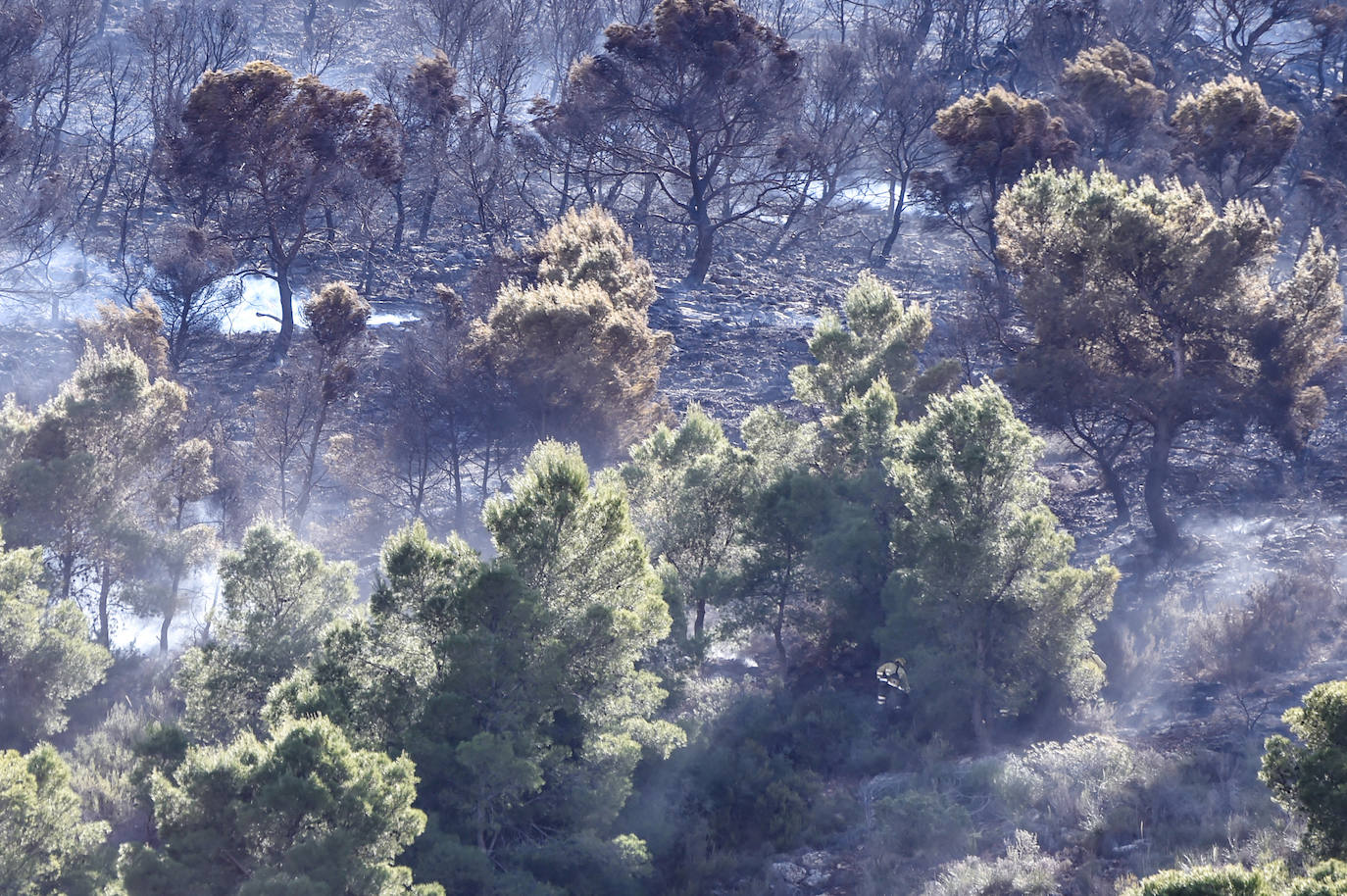 Fotos: Más de un centenar de efectivos trabajan contra el incendio en la sierra de Carrascoy