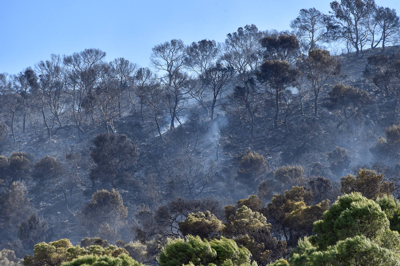 Fotos: Más de un centenar de efectivos trabajan contra el incendio en la sierra de Carrascoy