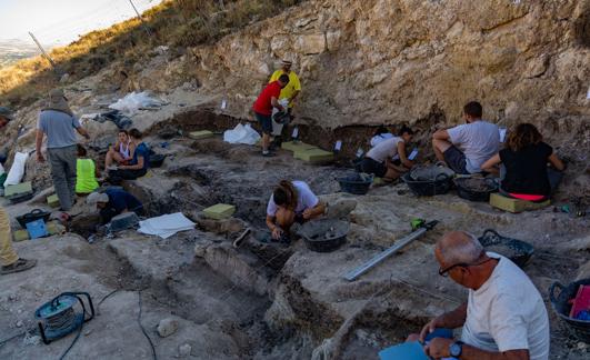 El yacimiento de Baza es donde más restos del ratón se han hallado. 