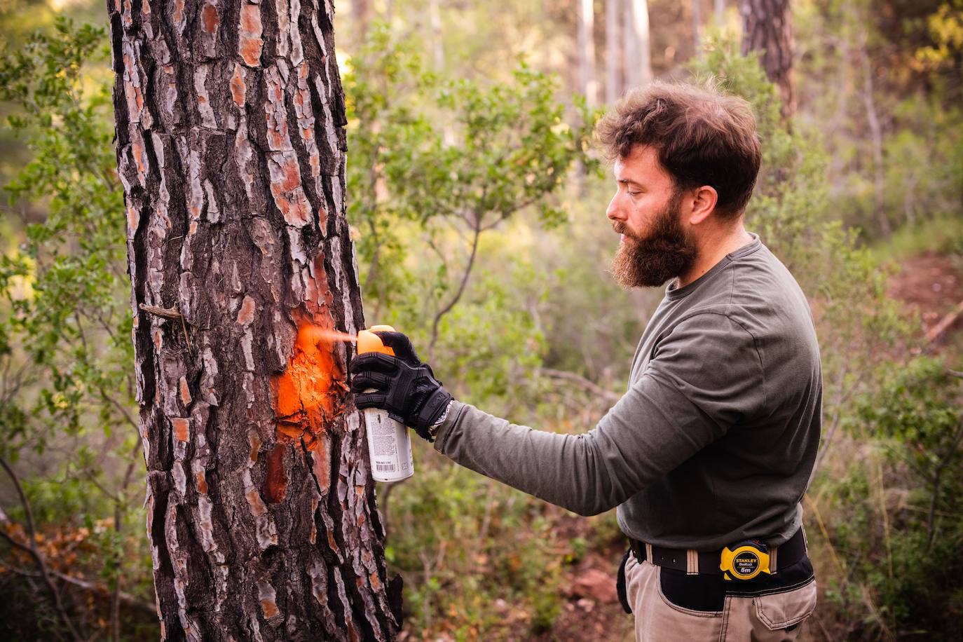 Fotos: El eco de un hacha en el silencio del bosque