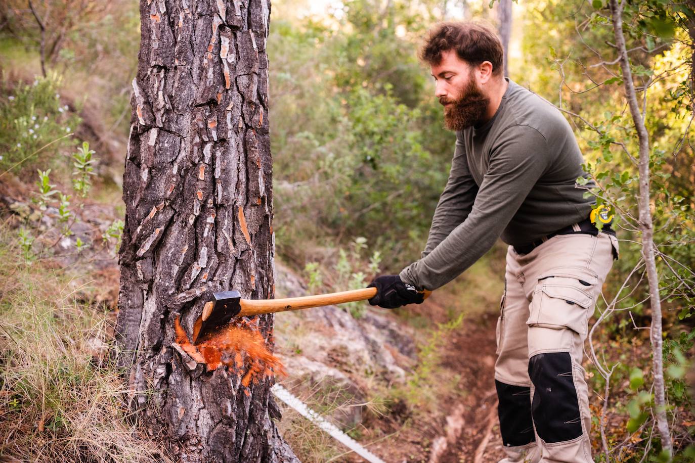 Fotos: El eco de un hacha en el silencio del bosque