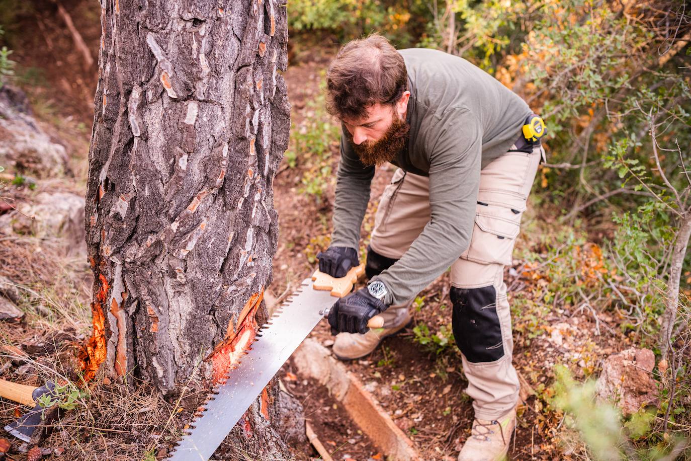 Fotos: El eco de un hacha en el silencio del bosque