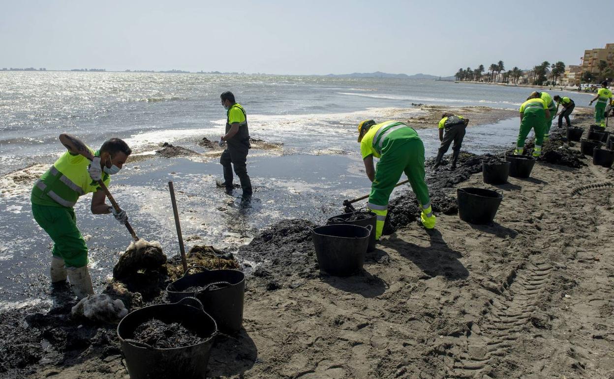 Operarios retiran el fango en una playa del Mar Menor en una imagen de este pasado verano.