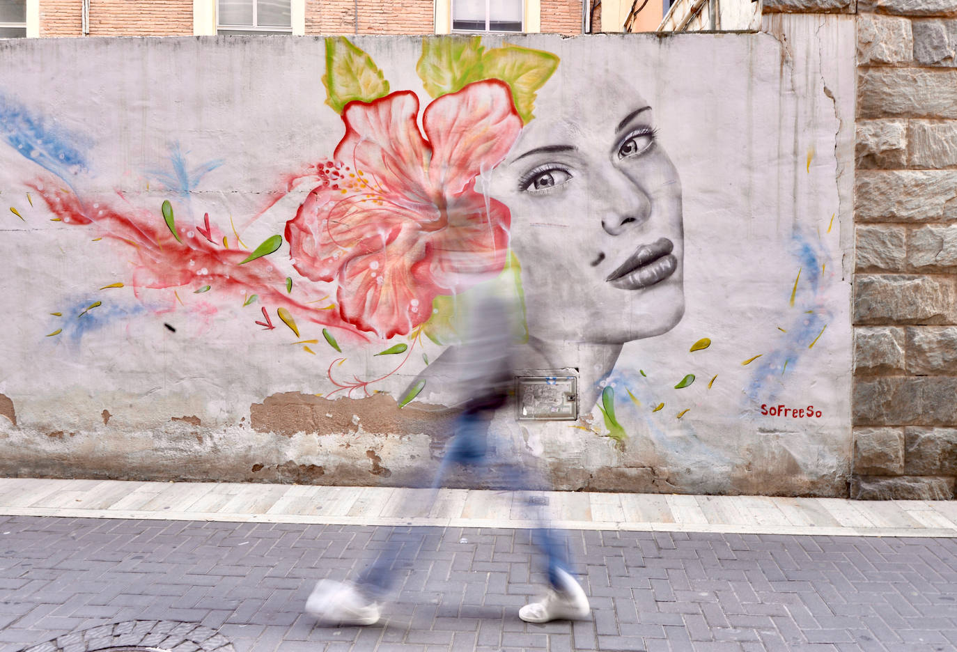 Fotos: El arte que embellece las calles