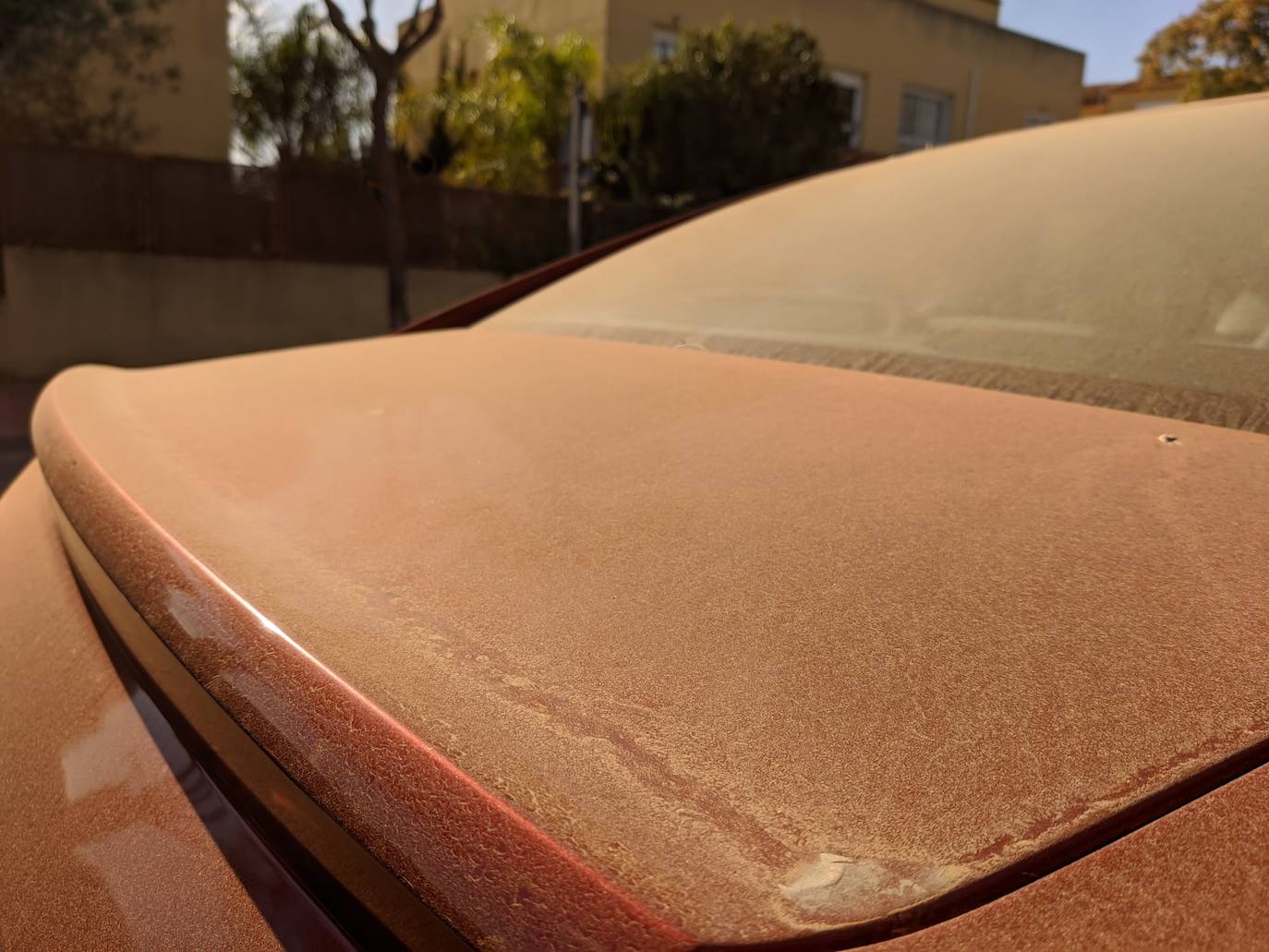 Fotos: El polvo africano cubre coches y calles de la Región de Murcia
