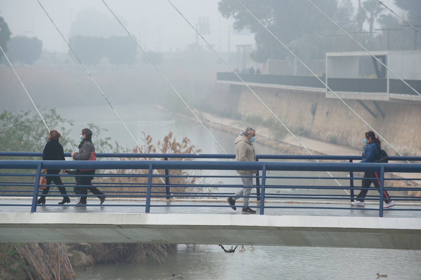 Fotos: Murcia amanece cubierta de niebla