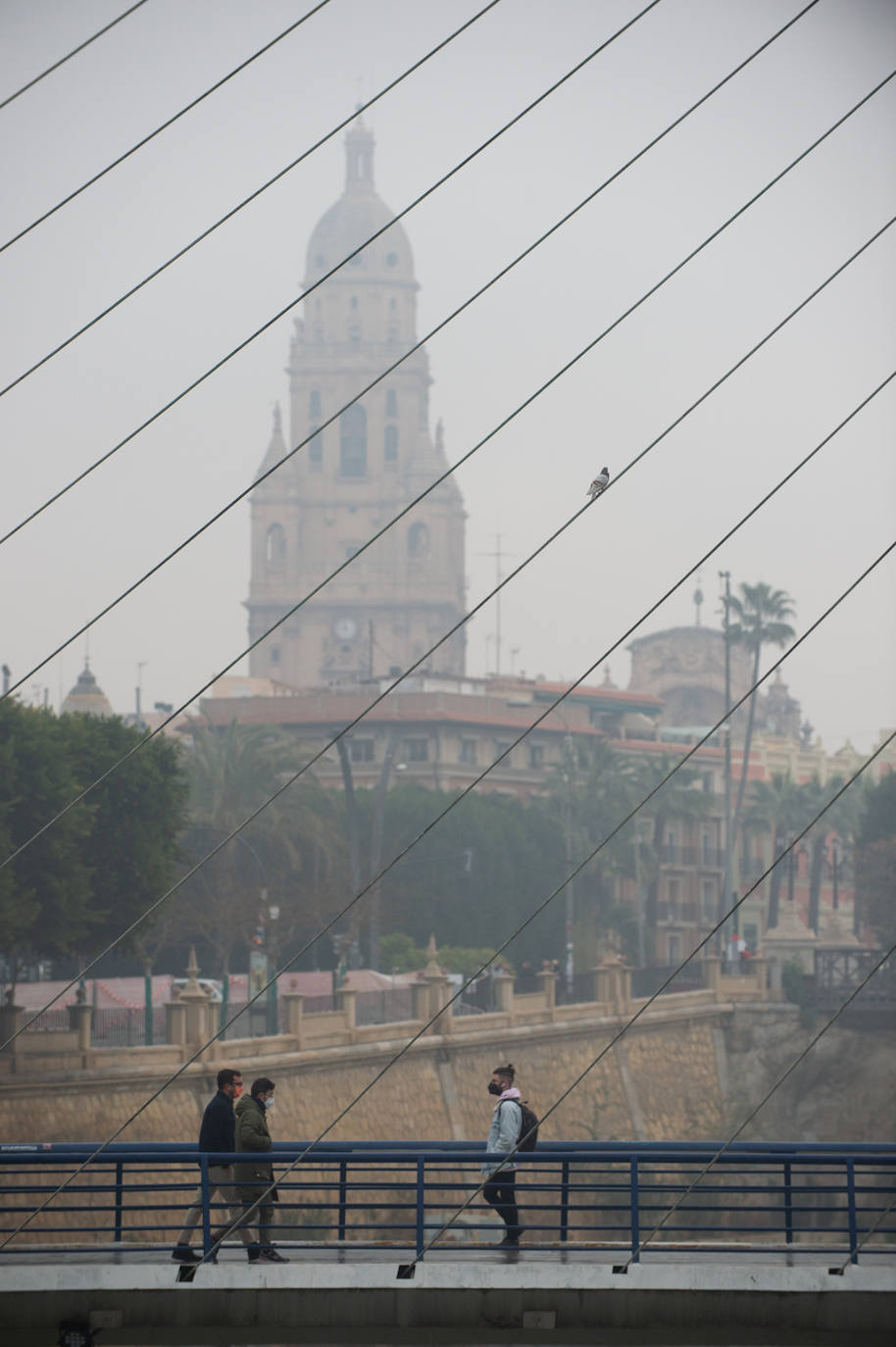 Fotos: Murcia amanece cubierta de niebla