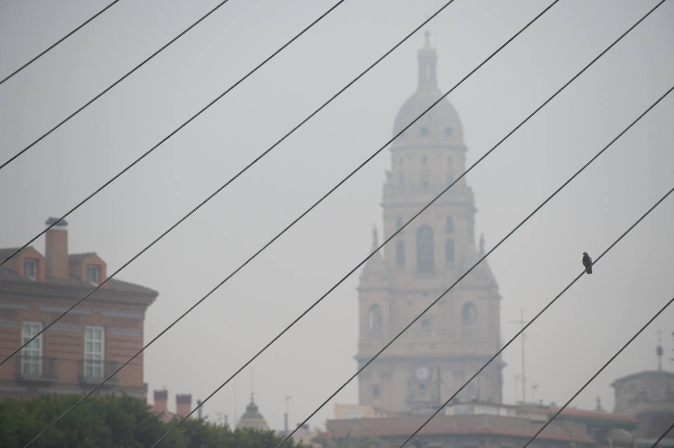 Fotos: Murcia amanece cubierta de niebla