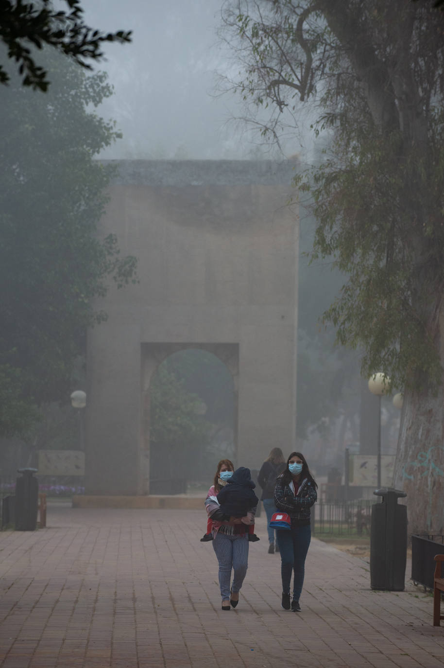 Fotos: Murcia amanece cubierta de niebla