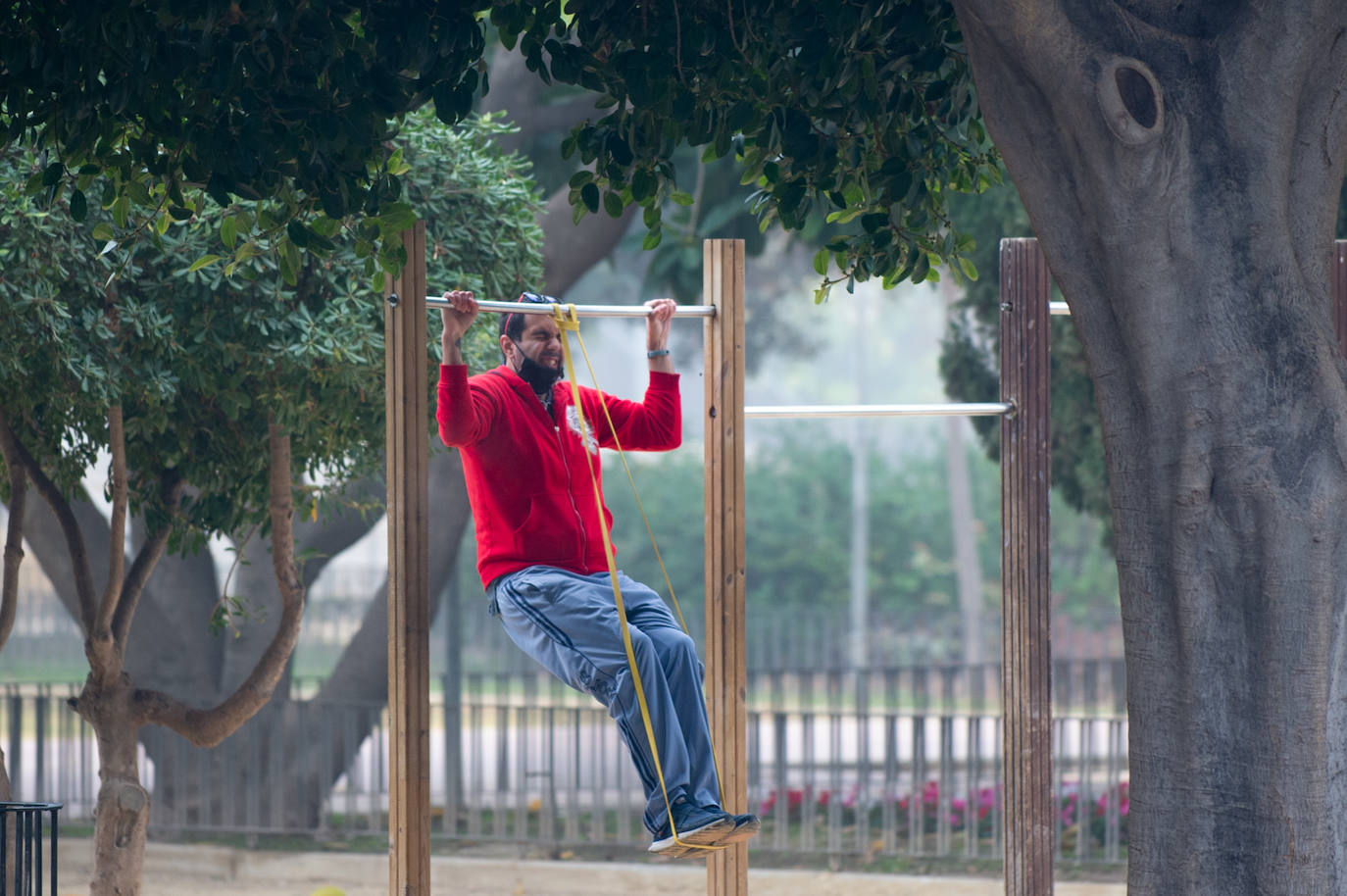 Fotos: Murcia amanece cubierta de niebla