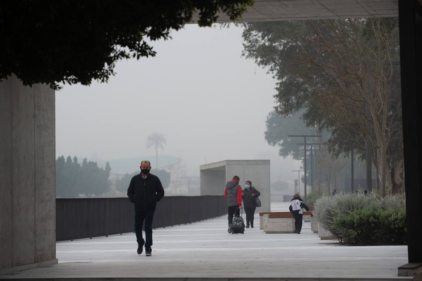 Fotos: Murcia amanece cubierta de niebla