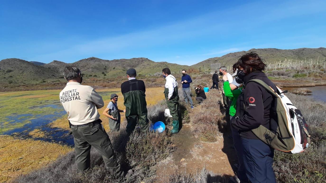 Fotos: 2.000 fartets viajan de La Manga a Calblanque