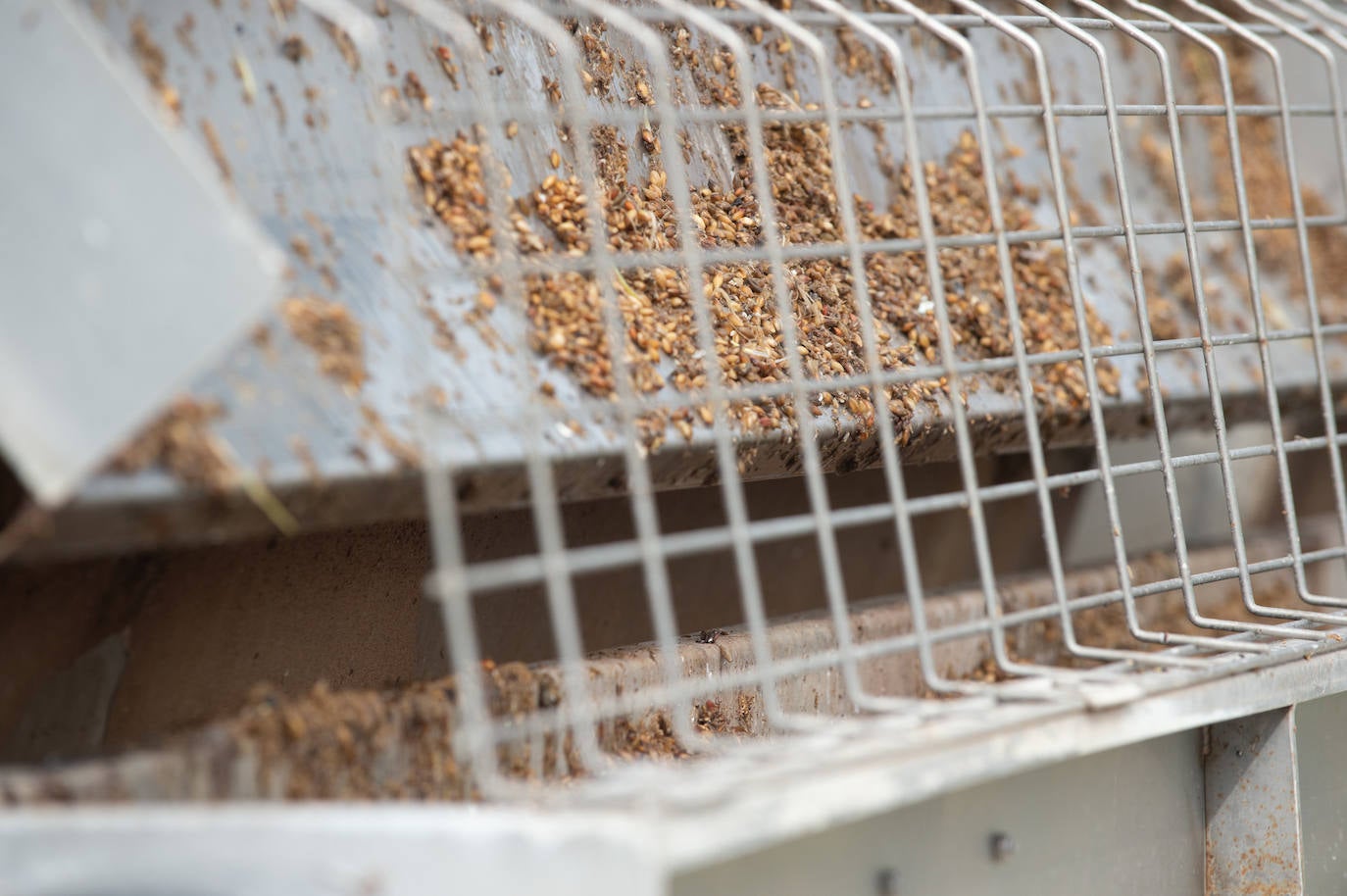 Fotos: La Comunidad impulsa el primer proyecto para generar biogás a partir de residuos