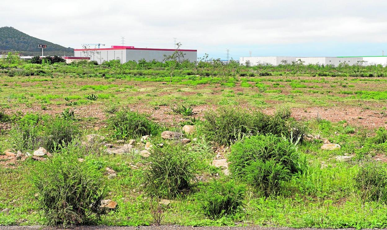 Terreno, ahora baldío, donde está previsto construir la primera fase de la zona de actividades logísticas, en Los Camachos. 