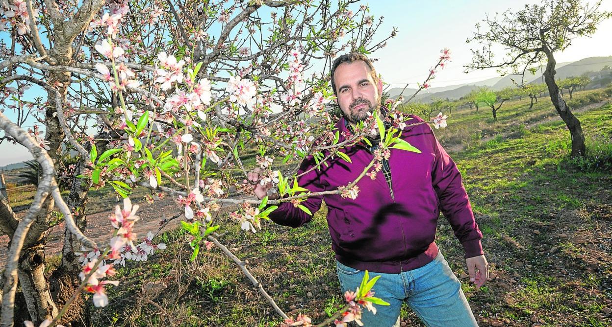 Antonio Ferrer junto a un almendro ecológico en flor en su finca en La Corona de Perín, Cartagena. 