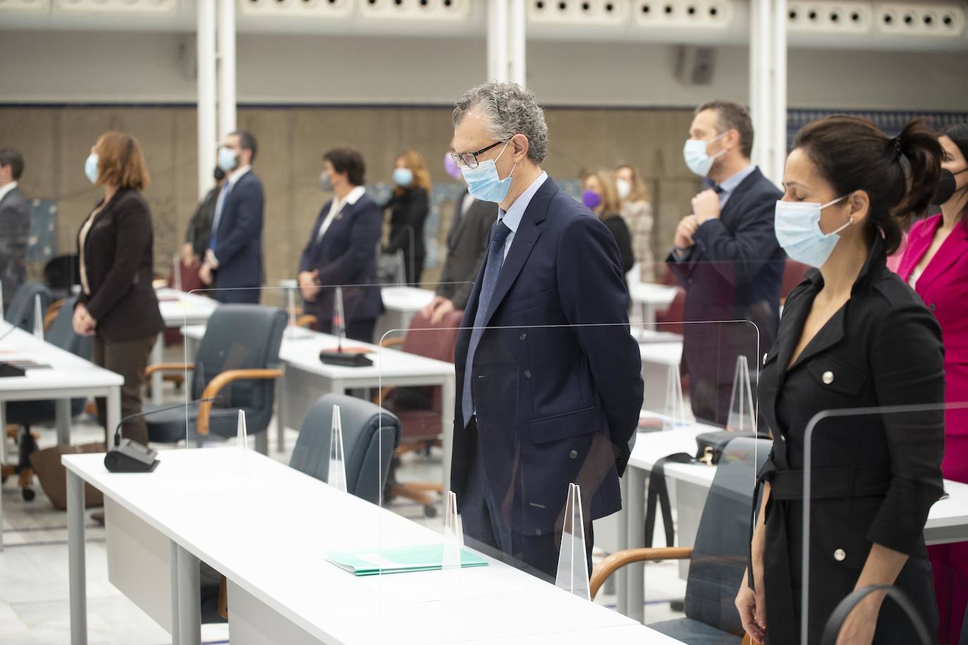 Fotos: Primera comparecencia en la Asamblea del consejero de Salud