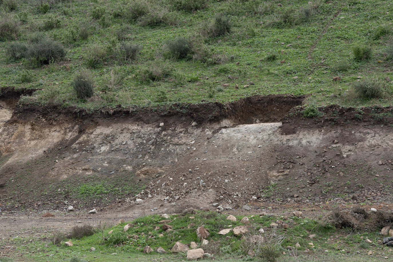 Fotos: Cultura investiga si unas roturaciones en Los Camachos afectaron a restos romanos