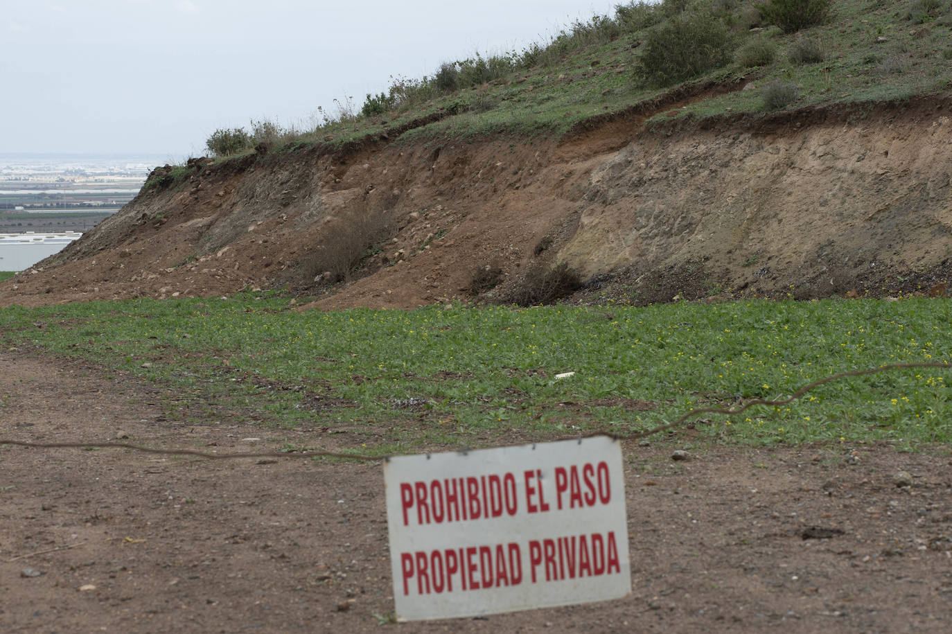 Fotos: Cultura investiga si unas roturaciones en Los Camachos afectaron a restos romanos