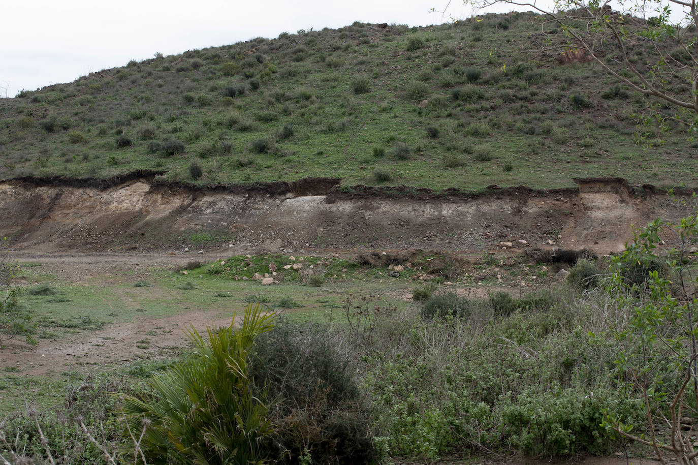 Fotos: Cultura investiga si unas roturaciones en Los Camachos afectaron a restos romanos