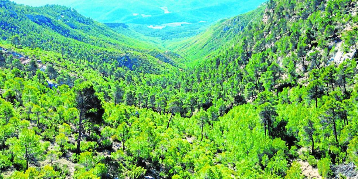 El Colegio lucha por la preservación de los espacios naturales de la Región. 