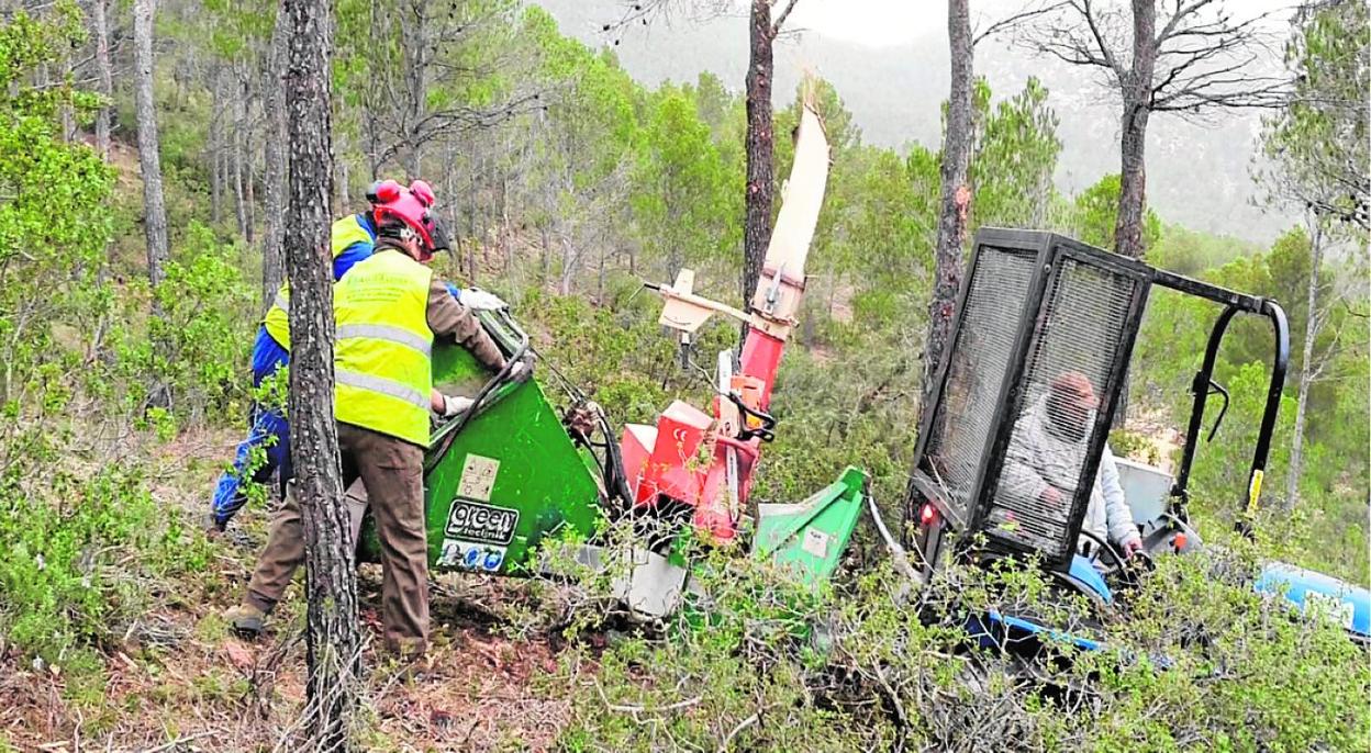 Una brigada realiza tareas de mantenimiento en el monte con maquinaria de Ibarra Lorca. 