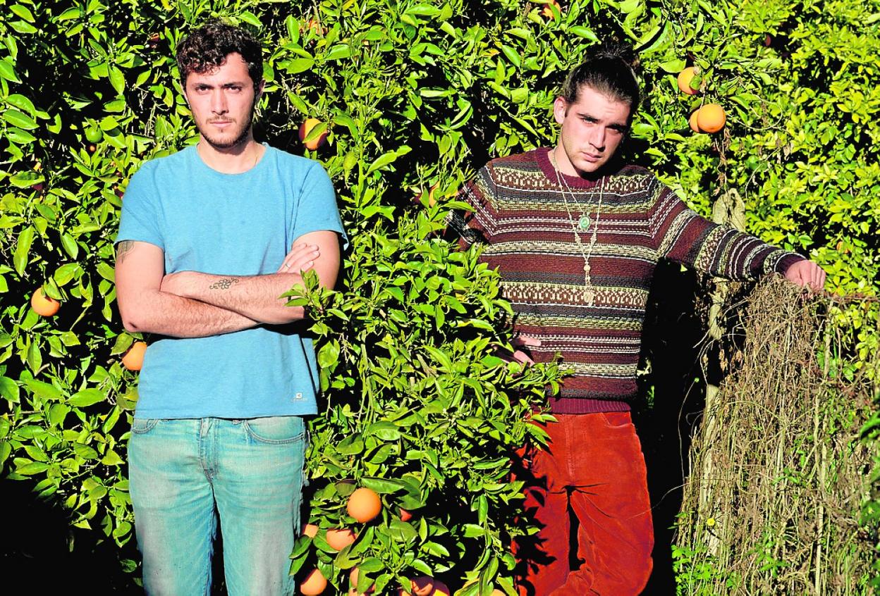 FAC y JARA, ayer, rodeados de naranjos en un huerto de Llano de Brujas. 