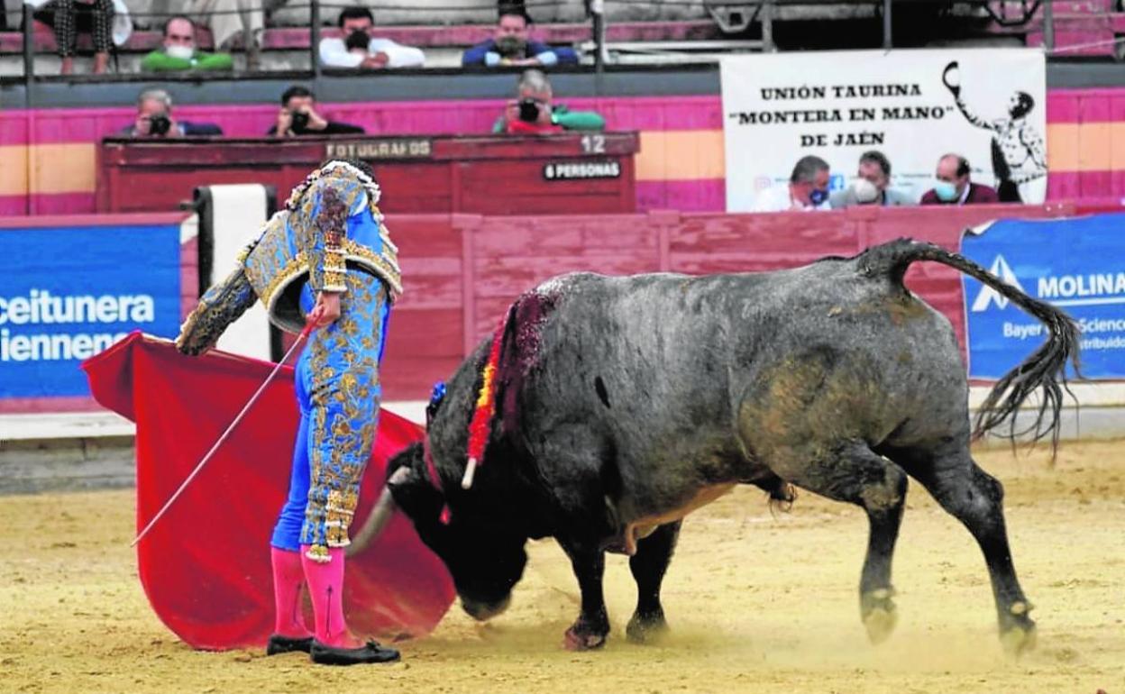 Rafaelillo, durante una de sus faenas, este sábado, en el coso de la Alameda, en Jaén. 