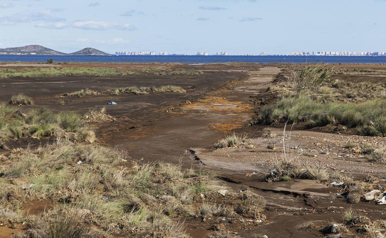 Humedal de Lo Poyo, en el entorno de Los Nietos. 