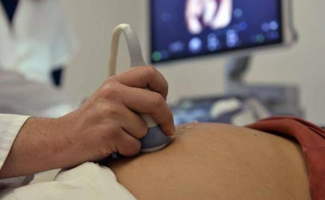 El SMS incluirá la prueba de detección del Mal de Chagas a todas las embarazadas en el primer trimestre