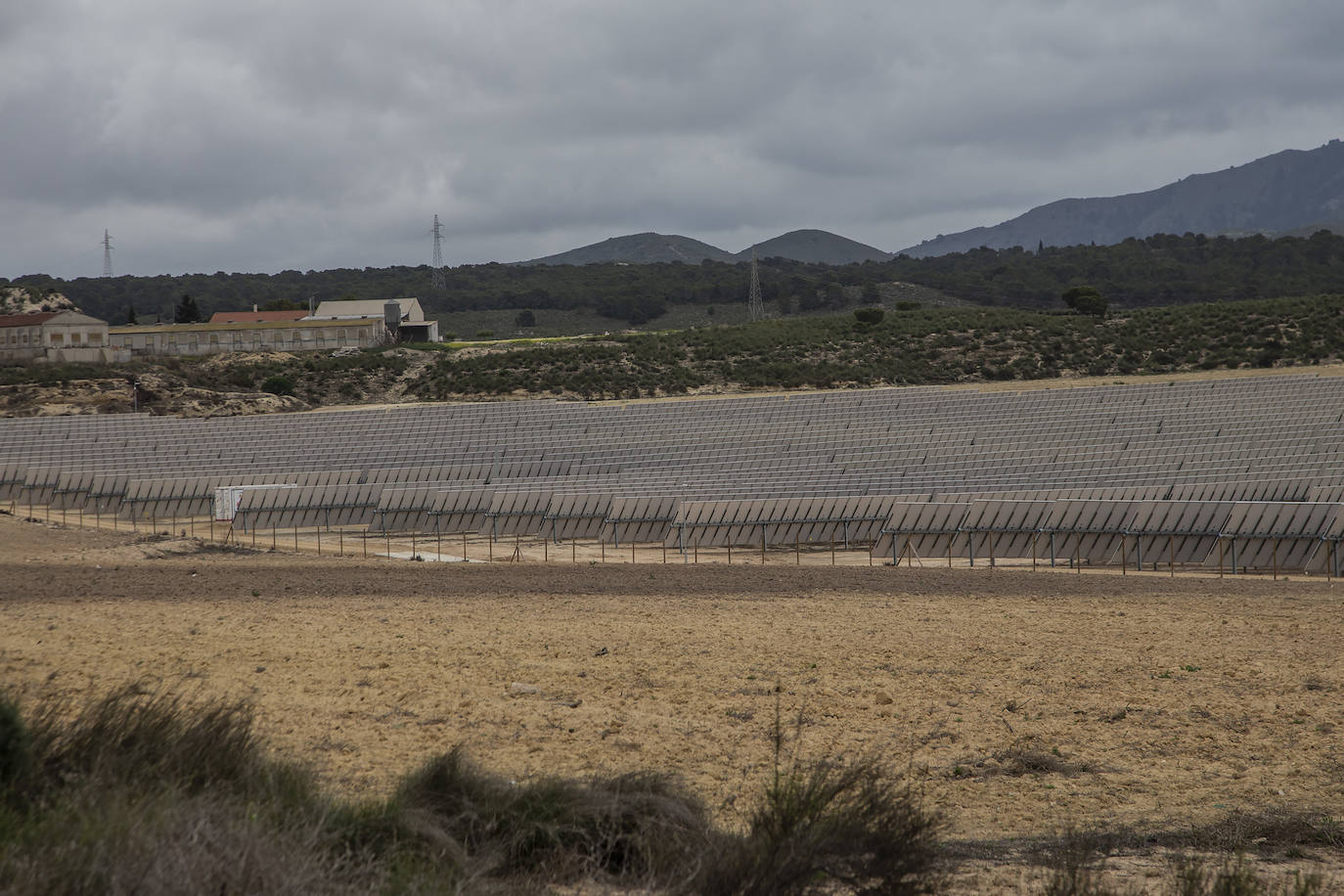 Fotos: La compañía líder en el sector de las renovables seguirá comprando plantas fotovoltaicas en la Región