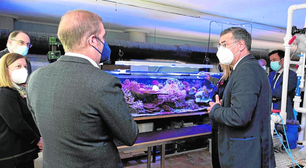 La importancia de conservar los océanos