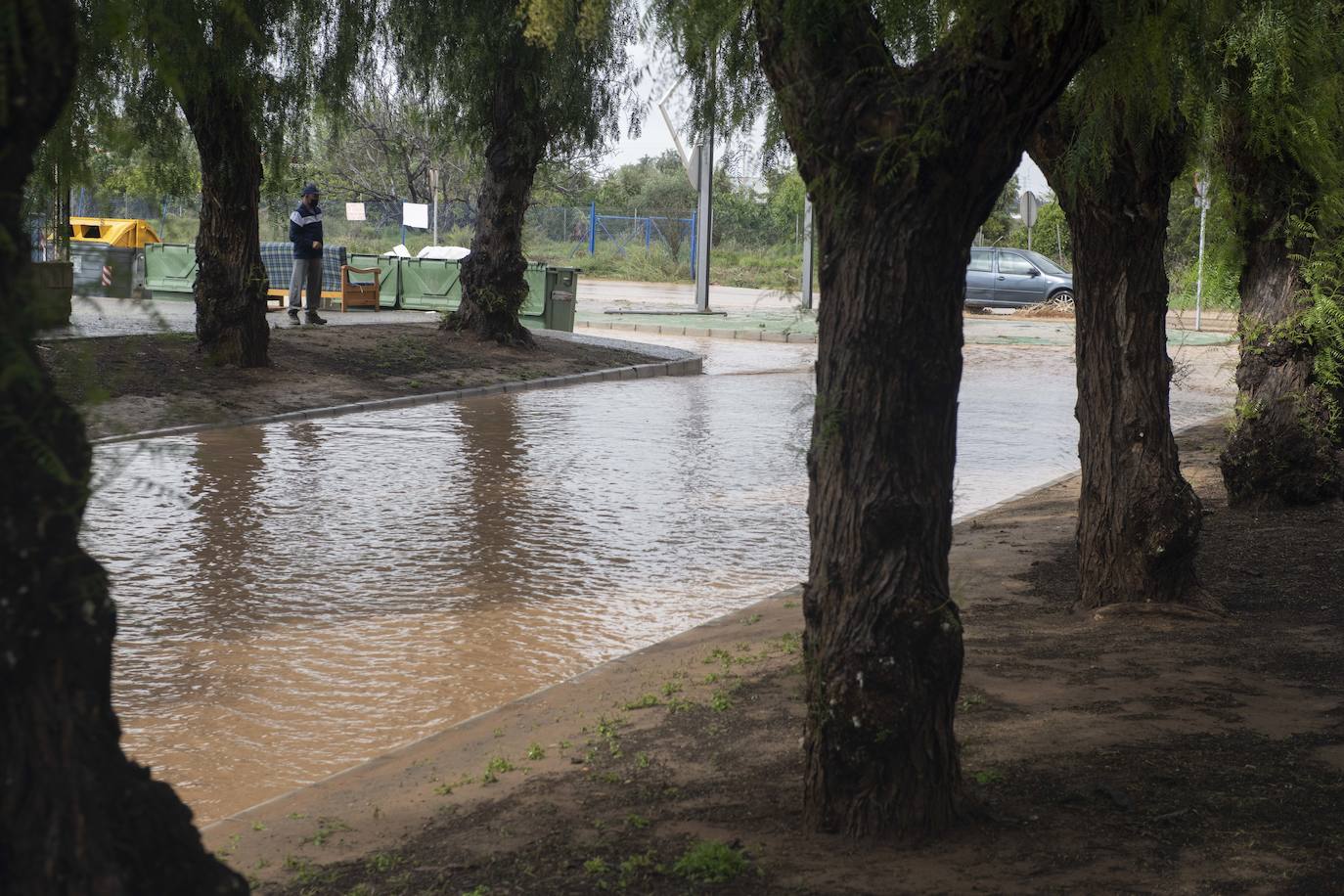 Fotos: Calles anegadas por la lluvia en la diputación cartagenera de La Aljorra