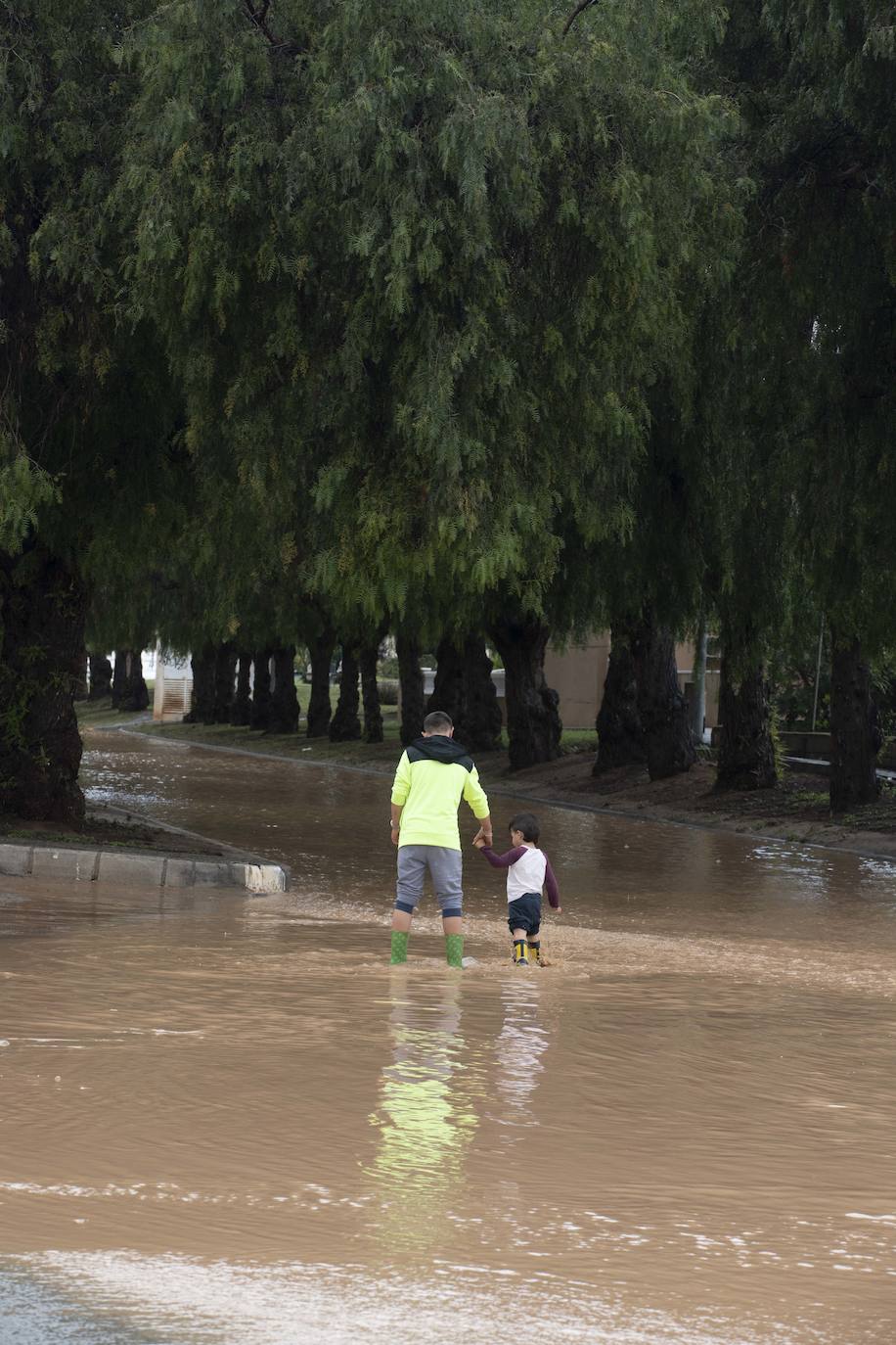 Fotos: Calles anegadas por la lluvia en la diputación cartagenera de La Aljorra