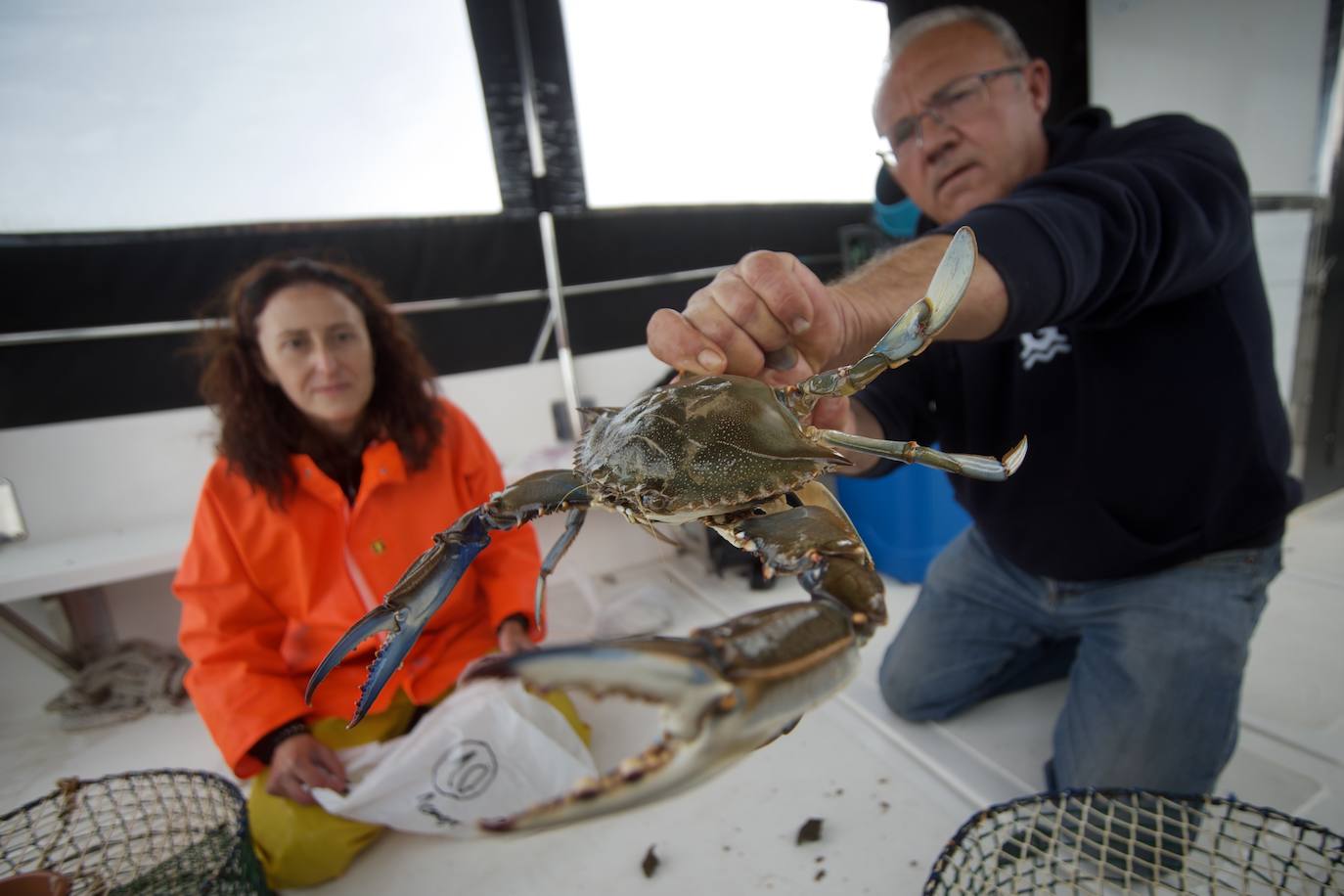 Fotos: Pesca y estudio del cangrejo azul, la especie invasora más temida en el Mar Menor