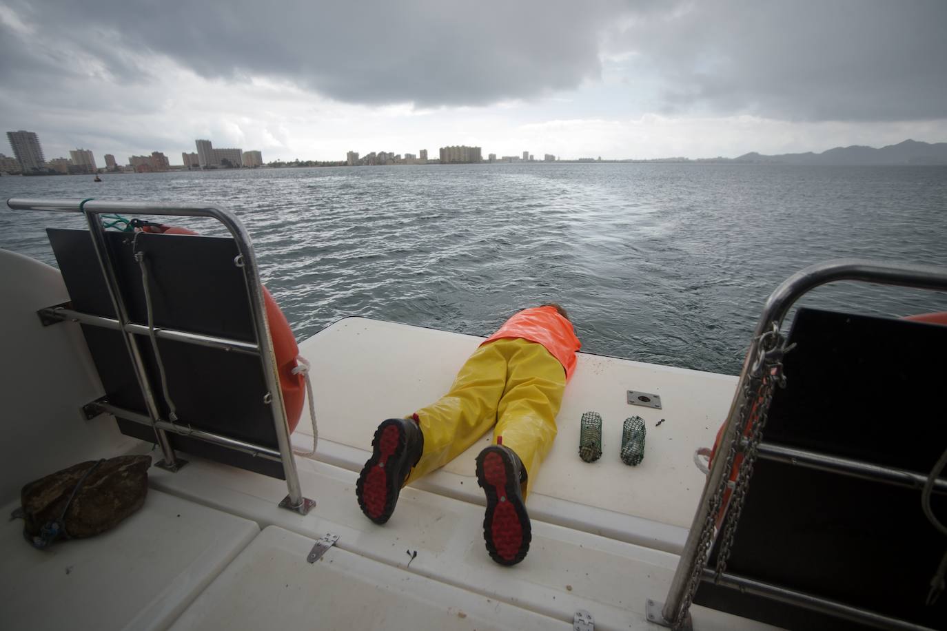 Fotos: Pesca y estudio del cangrejo azul, la especie invasora más temida en el Mar Menor