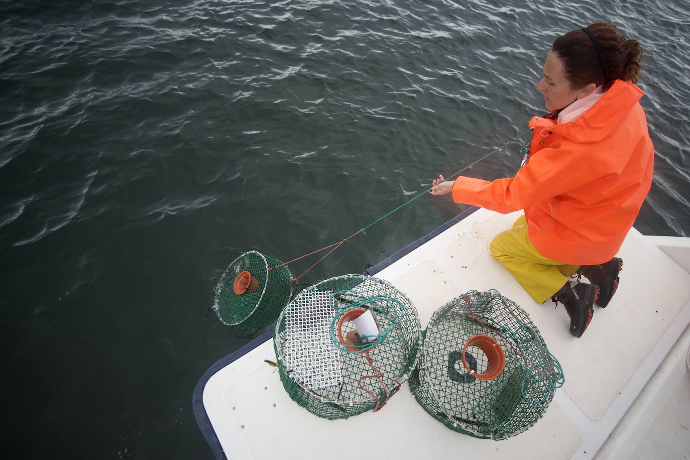 Fotos: Pesca y estudio del cangrejo azul, la especie invasora más temida en el Mar Menor