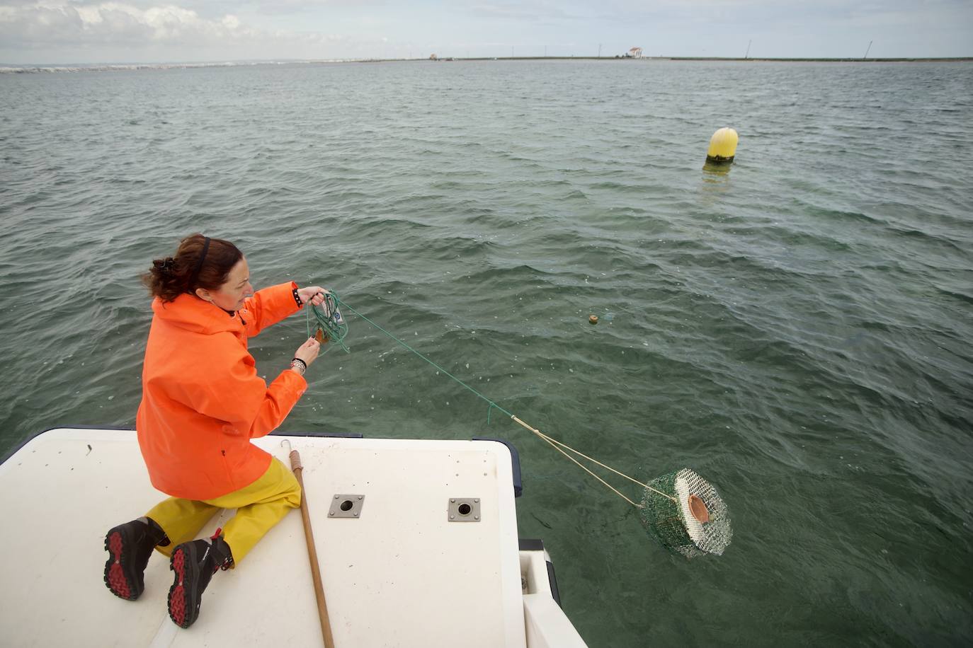 Fotos: Pesca y estudio del cangrejo azul, la especie invasora más temida en el Mar Menor