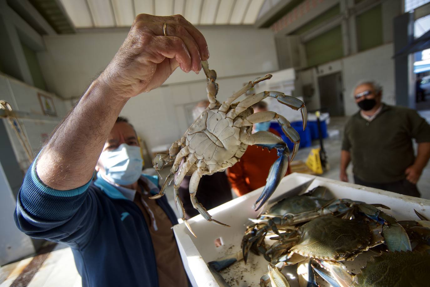 Fotos: Pesca y estudio del cangrejo azul, la especie invasora más temida en el Mar Menor