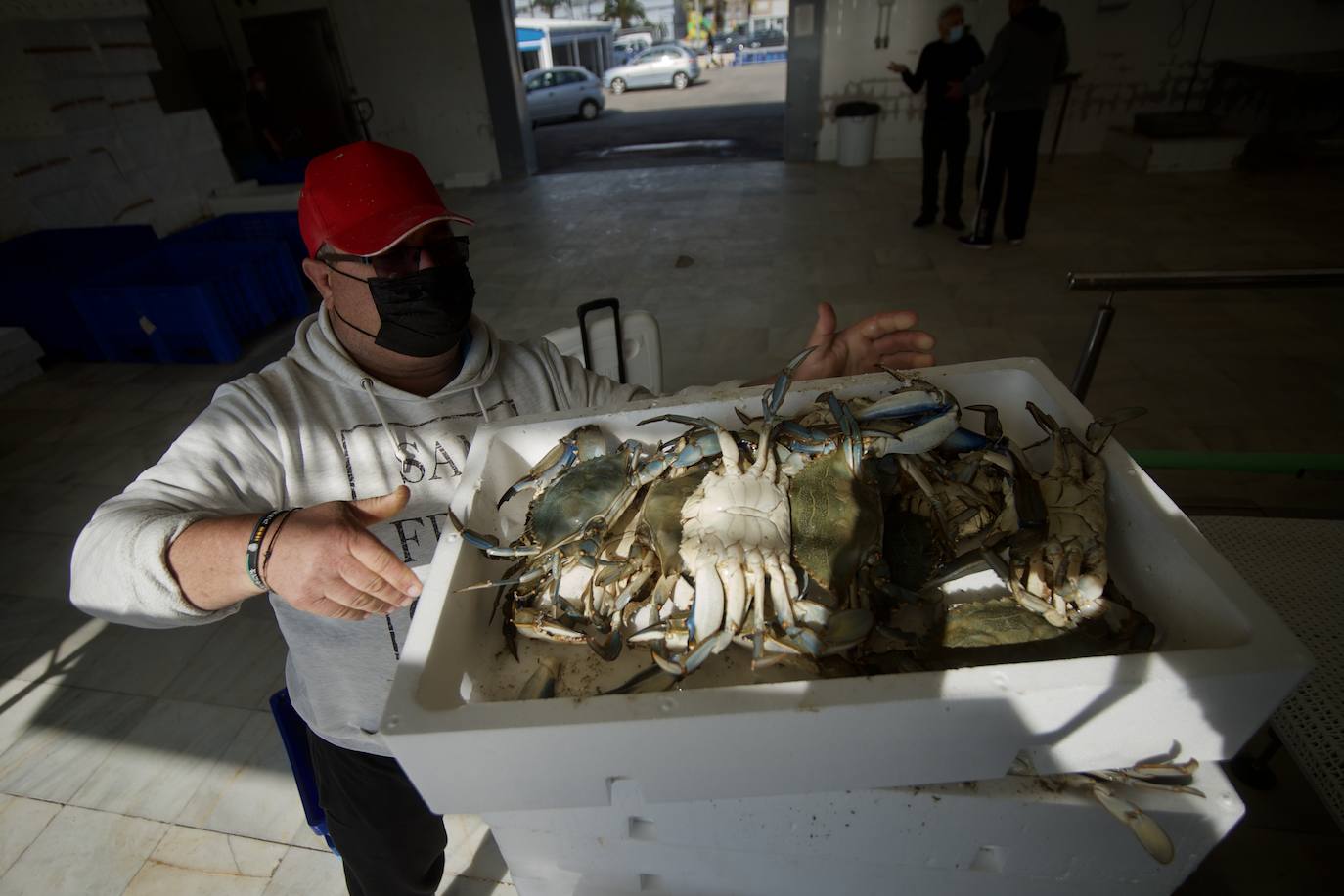 Fotos: Pesca y estudio del cangrejo azul, la especie invasora más temida en el Mar Menor